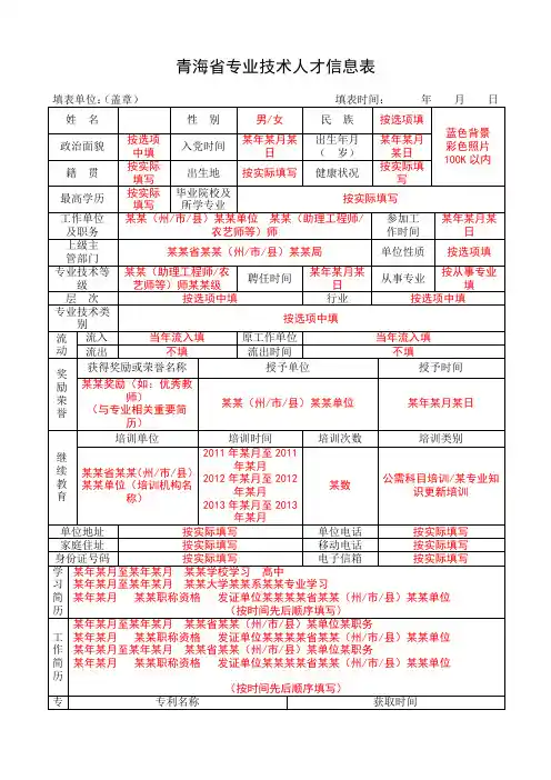 人才信息表 (填写模板)