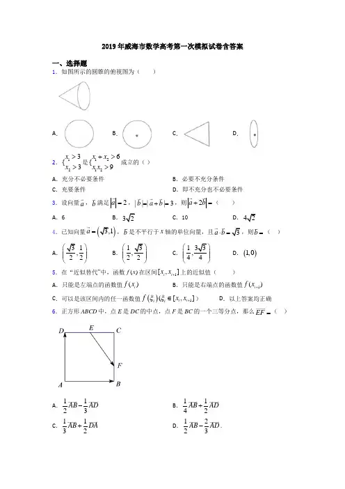 2019年威海市数学高考第一次模拟试卷含答案
