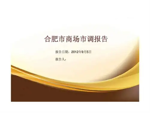 2021年合肥市商场市调报告调查分析总结.ppt