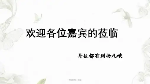 平安保险小交会ppt课件