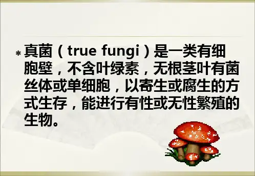 霉菌与霉菌毒素对食品的污染及其预防