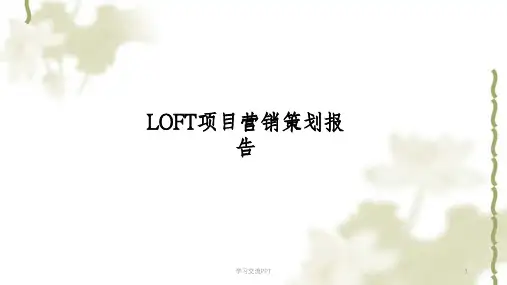 LOFT营销策划报告课件