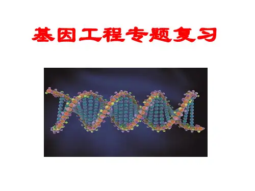 选修三基因工程一轮复习优秀课件