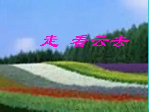 八年级语文上册25《短文两篇》课件鄂教版
