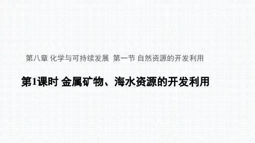 人教版新教材《自然资源的开发利用》ppt优秀版1