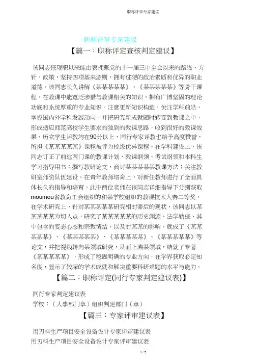 职称评审专家意见
