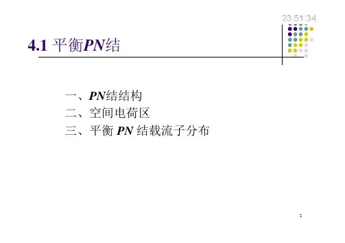 第四章PN结