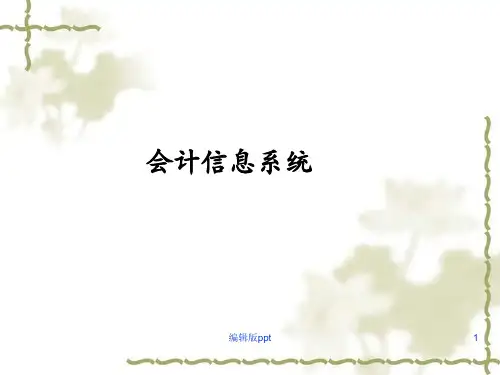 《会计信息系统》PPT课件