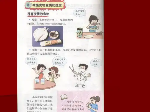 教科版小学科学四年级下册《食物》减慢食物变质的速度