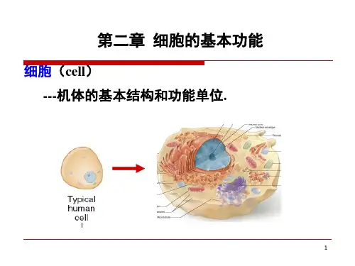 细胞物质转运信号转导