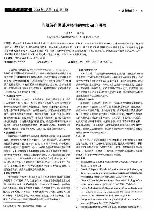 心肌缺血再灌注损伤的机制研究进展