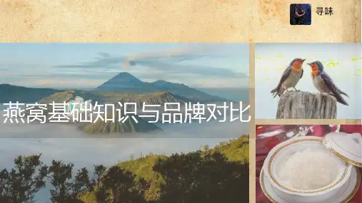 燕窝基础知识与品牌对比