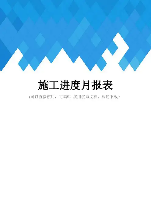 施工进度月报表完整