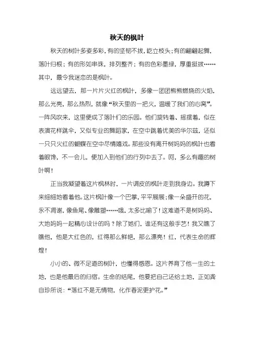 四年级作文：秋天的枫叶作文500字