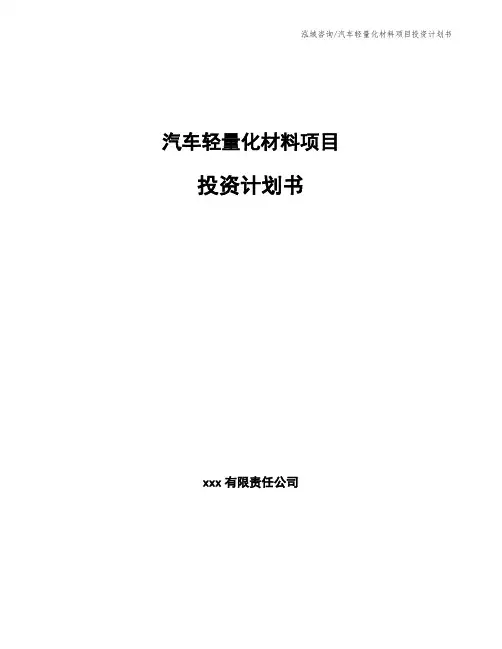 汽车轻量化材料项目投资计划书