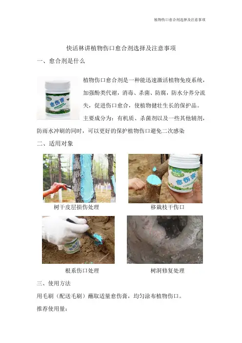 快活林讲植物伤口愈合剂选择及注意事项