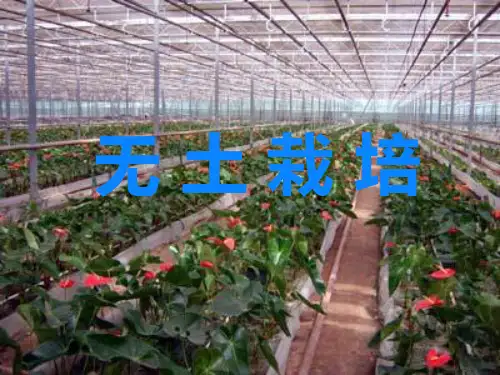 无土栽培技术全套完整版课件
