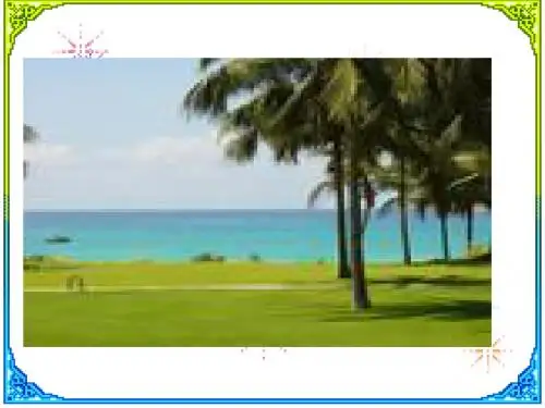 ppt1