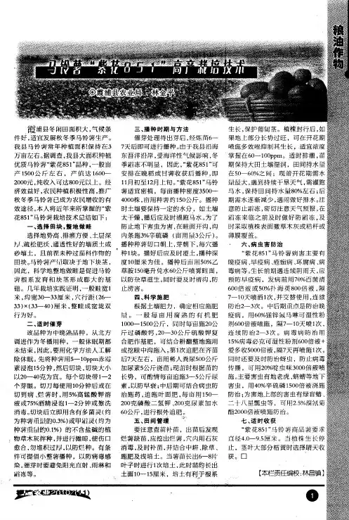 马铃薯“紫花851”高产栽培技术