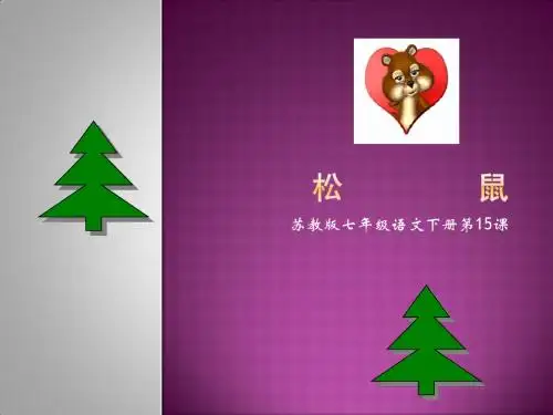 松鼠