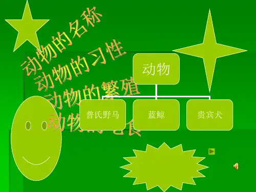 动物