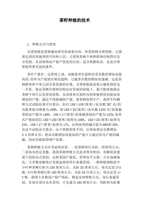 茶籽种植的技术