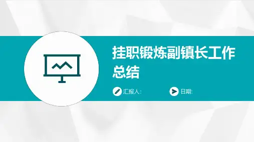 挂职锻炼副镇长工作总结