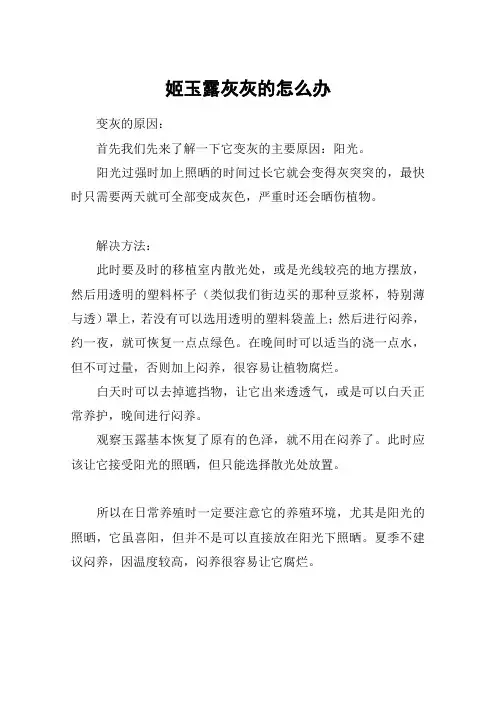 姬玉露灰灰的怎么办
