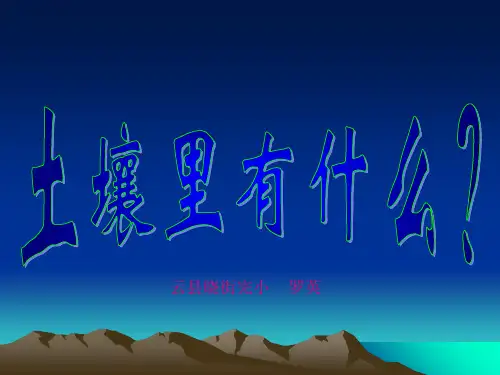 五年级科学上册第三单元第4课土壤中有什么精品PPT课件