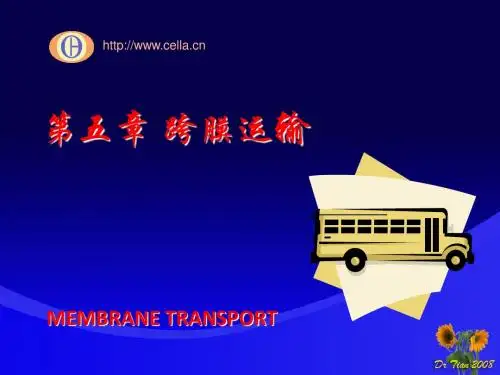 第五部分跨膜运输教学课件