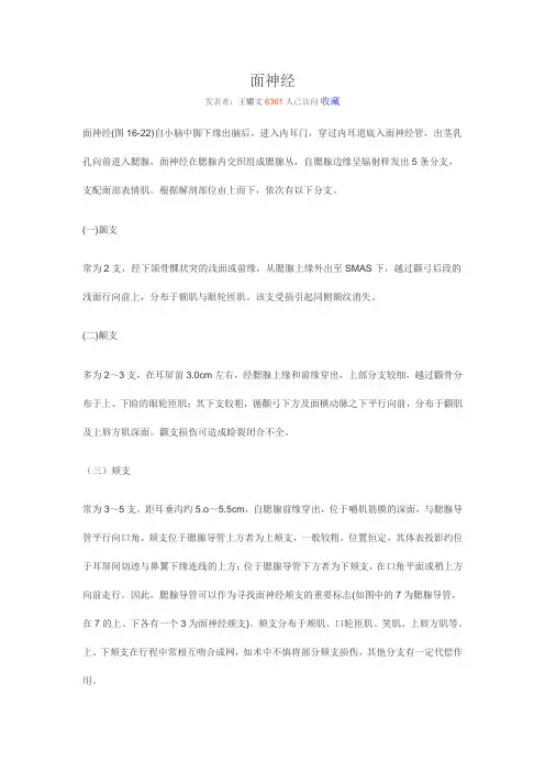 面神经解剖