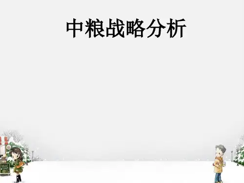 中粮案例分析