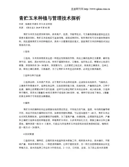 青贮玉米种植与管理技术探析