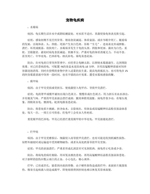宠物龟疾病