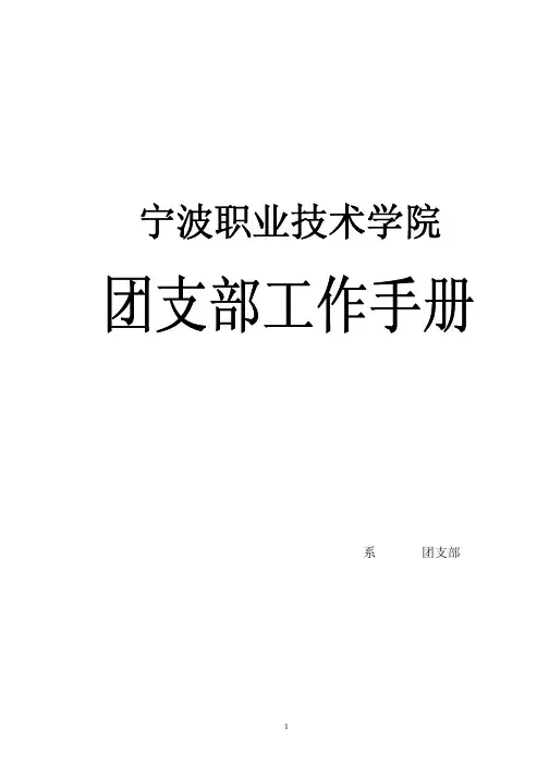 最新 团支部工作手册