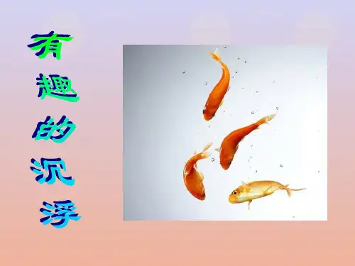 幼儿园科学ppt有趣的沉浮