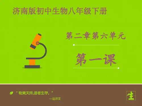 《生态系统的组成》课件+2