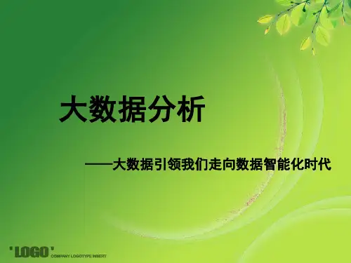 大数据分析pdf