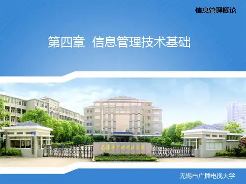 第四章信息管理技术与基础.pptx