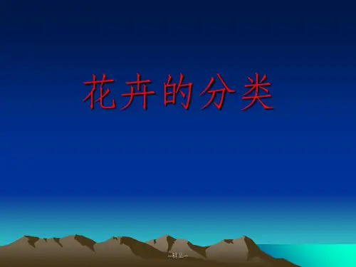 花卉的分类