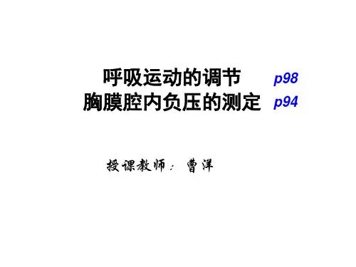 4.呼吸运动的调节、心输出量影响因素