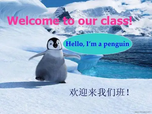 英语赛讲Let’s  Go  to  the  Zoo_!课件