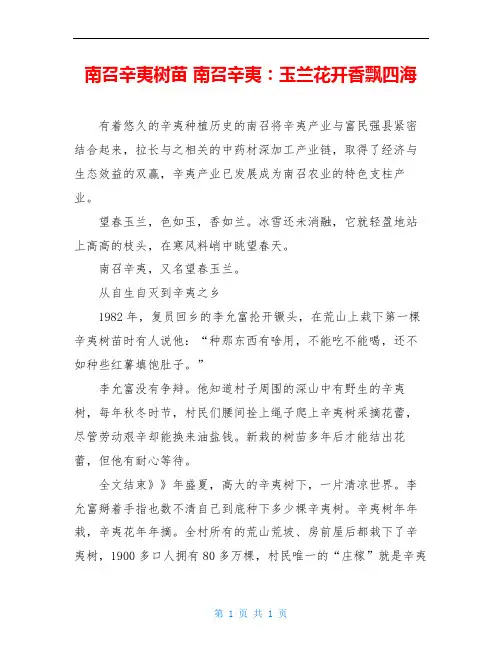 南召辛夷树苗 南召辛夷：玉兰花开香飘四海