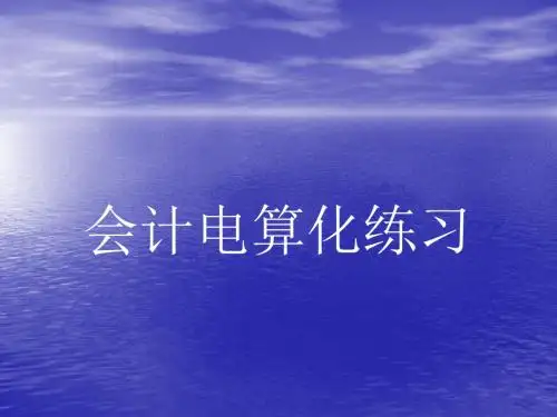 会计电算化练习(ppt 113)