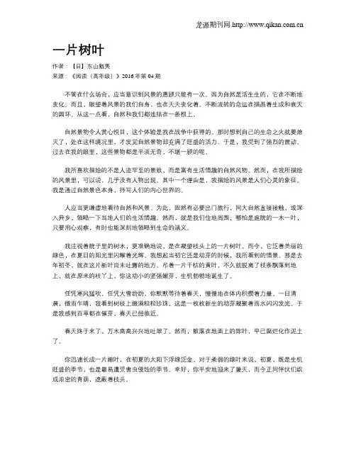 一片树叶