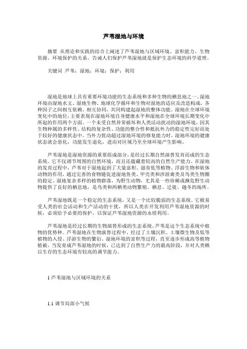 芦苇湿地与环境