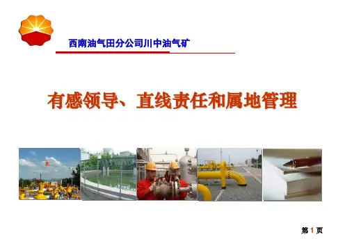 有感领导、直线责任和属地管理