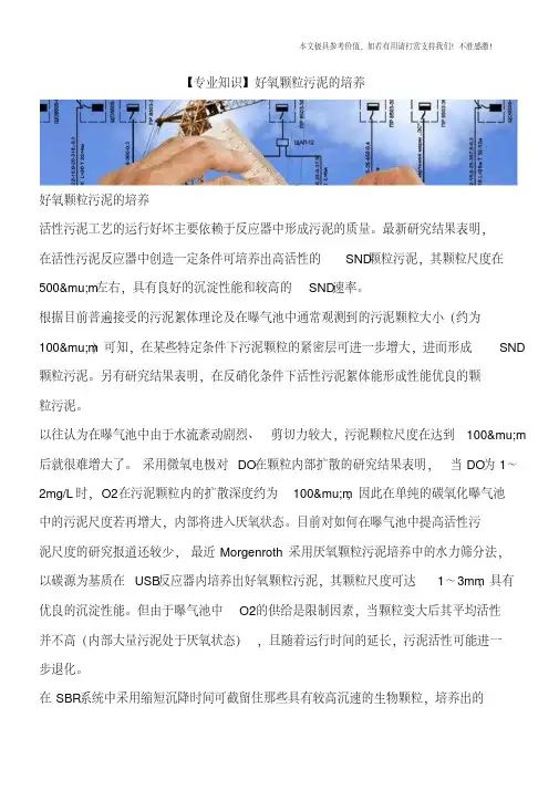 好氧颗粒污泥的培养