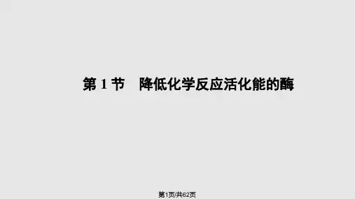 高中生物人教必修细胞的能量供应和利用PPT课件