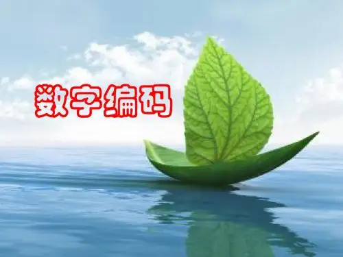 数字编码PPT课件